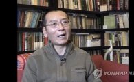 [종합]누가 류샤오보를 죽였나… "중국은 이 죽음에 책임져야" 