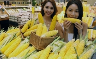 [포토]신세계百 "여름철 다이어트, 해피콘 옥수수로 하세요"
