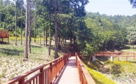진도군, 운림삼별초공원에 1.2km 무장애 숲길 조성