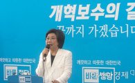 이혜훈 "금품수수 의혹 법정조치 하겠다" 강경대응