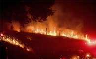 美서부 산불 비상사태 선포…한국 절반 면적 불태워