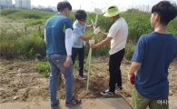 “가을 코스모스 산책길 기대하세요”