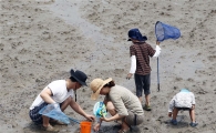함평’돌머리해수욕장 갯벌체험 인기