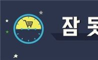 [타도 열대야①]"더워서 그냥은 못 자"…한밤 제습기·야식 '지르는' 소비자들 