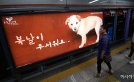 [포토]지하철 승강장에 설치된 '개 식용 반대 캠페인'