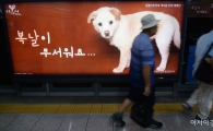 [포토]개 식용 반대의 목소리