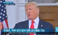 트럼프 '직접 나설 가능성'...북한에 '발끈한 이유는?'