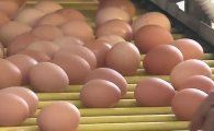 '살충제 달걀 논란' 계란 판매중단, 값 '폭락이냐 황금알이냐'... '술렁'