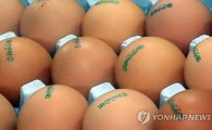 [에그포비아]③콜레스테롤 높이는 주범?…계란 둘러싼 속설