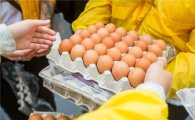 [살충제 계란 파동]95.7% 안전?…344만알의 미스테리