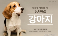 옥션, 반려동물 인기상품 할인전 열어 