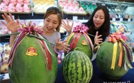 롯데백화점 광주, 광주 명물 ‘무등산 수박’ 판매 돌입