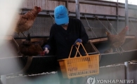 [살충제 계란 사태 한 달①]'블랙리스트 농가' 초토화 "악몽같은 시간 계속"