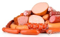 ‘간염 소시지’ 논란에 식약처, 유럽산 햄·소시지 국내 유통 및 판매 잠정 중단