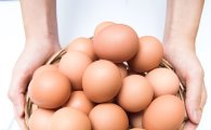 '살충제 계란' 파동에 "계란 먹기 꺼려진다" 54%