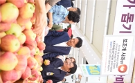 농협유통, 우박 피해 농가 돕기 행사 실시