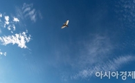 [포토]눈이 푸시게 푸른하늘