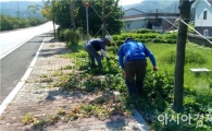 고창군, 주요 도로변 일제 정비
