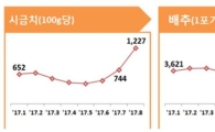 폭우·폭염에 미친 채솟값…시금치·배추·호박값 가장 많이 올랐다