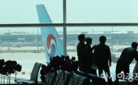 홍철호 "인천공항 관광지 광고 대신 성형외과 광고 늘어"