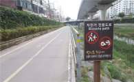 자전거도로에 자동차 다녀도 처벌규정 없다?