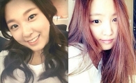 설현 손나은 닮은꼴 유명..'누가 설현이고 손나은일까?'