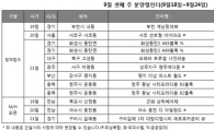 이번주 '서초 센트럴 아이파크' 등 9곳 1순위 청약…견본주택 3곳 개관