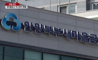 행안부에 '새마을금고 갑질 신고센터' 만든다