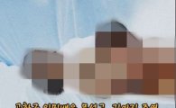 문성근 합성사진 유포 계정, '노슬람교' '빨법부' 등 원색적 비방글 게시…최근 삭제