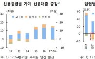 [한은 금융안정회의]'찬밥' 중신용자…非은행선 5년간 17.6조 대출'