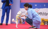 서리풀페스티벌..."반려견 패션왕 나야 나!"