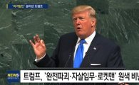 트럼프, 북한 향한 '옵션이란?'...터무니 없는 주장 맞지만 "옵션 제공할 것"
