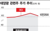 G2 '수입 방어망'에 그늘진 태양광株