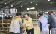보성군, 추석명절 앞두고 가축시장 ‘활기’