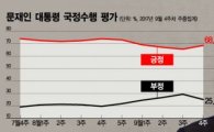 [지방선거 판세분석①]최대변수 '文 지지율'…50%선 분수령