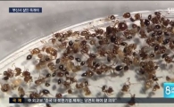 오늘 읽어야 할 아경 연예/스포츠 뉴스 Top10