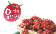 '가재새우·오미자' 이색 토종 먹거리…추석 전 홈쇼핑서 인기