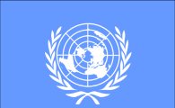 13년 만에 아이티서 철수, 유엔 평화유지군 ‘평화군이라’ ‘과거 사건..’ 네티즌 반응 ‘눈길’