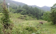 [경매 톺아보기]응찰자 154명이 몰린 가장 경쟁 치열했던 물건은
