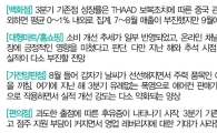 혼돈의 유통업계…"규제 리스크 적은 홈쇼핑만 안정적" 