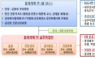 금융위 "회계부정 제재 단호히 집행…회계개혁TF 상시 운영 검토"