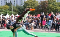 [포토]양천 반려견 문화축제 열려 