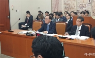 [2017국감]도난문화재 파악 부실한 문화재청 “경찰청과 협의해나갈 것”