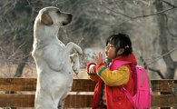 [이종길의 영화읽기]犬犬犬…공존과 동행의 연장선