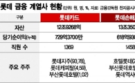 롯데 금융사 쪼개팔기·매물 가격…인수전 흥행 변수 남았다
