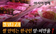[쌀보다고기]육류 섭취 빛과 그늘…영양 공급 늘었지만 암·대사질환↑