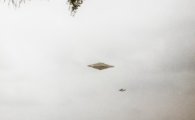 "공개 못하게 봉쇄하라"...32년 만에 공개된 UFO 사진