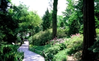 [One Day Walk] KAIST Business School Recommends 'Hongneung Arboretum Trail'