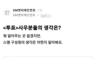 SM 직원 익명투표 85% "하이브+이수만 체제 반대"