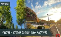 [하루만보]태강릉·경춘선 철길을 잇는 시간여행